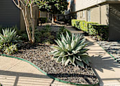 Thumbnail 7 of 32 - a courtyard with trees and plants in front of a building at La Bella Apartments, Fort Worth, TX