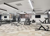 Thumbnail 12 of 55 - A spacious gym with a variety of equipment and a checkered floor.