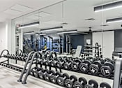 Thumbnail 6 of 55 - A gym with a row of dumbbells on a rack.