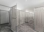 Thumbnail 51 of 74 - a row of metal cages in a white room at Red Rock Apartments, Rapid City, South Dakota