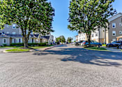 Thumbnail 36 of 45 - A sunny day at a residential street with cars parked on the side.