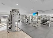 Thumbnail 19 of 41 - a gym with weights and cardio machines and a tv on the wall