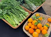 Thumbnail 54 of 61 - Vegetables and fruits stall at Bautista Apartments, Tucson, 85745