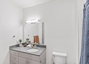 Thumbnail 91 of 131 - A bathroom with a sink, mirror, and toilet.