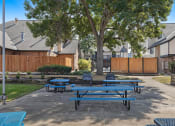 Thumbnail 14 of 50 - our picnic tables are set up in our back yard with benches and trees