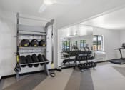 Thumbnail 28 of 56 - a home gym with weights and a treadmill