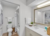 Thumbnail 12 of 61 - a bathroom with a mirror and a toilet and a sink at AVIA Lofts on Liberty Ridge, Jacksonville, FL, 32256