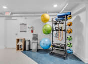 Thumbnail 30 of 61 - a fitness room with weights and balls and a cart at AVIA Lofts on Liberty Ridge, Jacksonville, FL, 32256