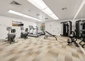 Thumbnail 28 of 92 - the gym at AVIA Lofts on Parkway Apartments, Vancouver