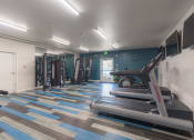 Thumbnail 24 of 108 - a gym with cardio equipment and weights on the floor and a wall mounted tv