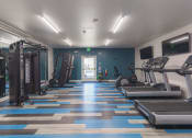 Thumbnail 26 of 108 - a gym with cardio machines and weights on a checkered floor
