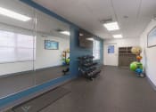 Thumbnail 27 of 108 - a workout room with weights and a treadmill in the corner of a room