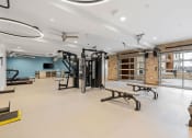 Thumbnail 41 of 84 - a gym with weights machines and benches and a large window at The Revival, Salt Lake City, UT