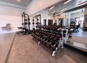 Thumbnail 30 of 126 - gym weights at SevenO2 Main Apartments, Salt Lake City