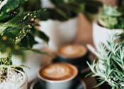 Thumbnail 38 of 45 - Three cups of coffee with latte art on a wooden table surrounded by green plants.