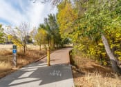 Thumbnail 46 of 50 - a path in a park with trees on both sides of itat The View on 20th, Ogden, 84401