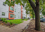 Thumbnail 7 of 12 - A tree stands next to a sidewalk in front of a building.