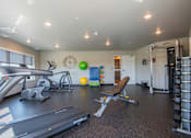 Thumbnail 3 of 8 - A gym with treadmills, weights, and exercise balls.