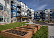 Thumbnail 6 of 19 - A row of wooden planters with soil in them are lined up on a grassy area in front of apartment buildings.