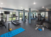 Thumbnail 12 of 25 - a gym with cardio equipment and weights on the floor