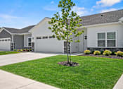 Thumbnail 3 of 19 - A tree stands in a grassy area in front of a house.