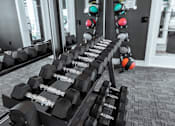Thumbnail 26 of 29 - A set of dumbbells is arranged on a rack in a gym.