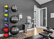 Thumbnail 36 of 39 - A gym room with a row of exercise balls and a bench.