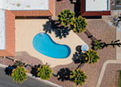 Thumbnail 3 of 10 - A swimming pool surrounded by trees and a building in the background.
