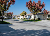 Thumbnail 6 of 15 - a row of houses on a street with trees