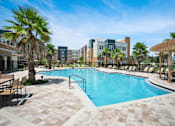 Thumbnail 8 of 14 - A pool surrounded by palm trees and lounge chairs.