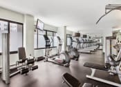 Thumbnail 14 of 26 - Steppers, treadmills, and weight machines  at Prospect Place, Hackensack