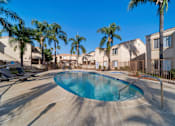 Thumbnail 8 of 11 - A swimming pool surrounded by palm trees and residential buildings.