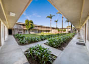 Thumbnail 5 of 21 - A long concrete walkway leads to a building with a row of palm trees in the background.