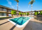 Thumbnail 9 of 21 - A swimming pool in a sunny day surrounded by palm trees and bushes.