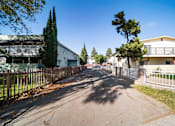 Thumbnail 2 of 2 - A residential street with houses on both sides and trees lining the street.