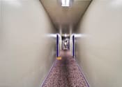 Thumbnail 4 of 4 - A long hallway with a purple line on the floor.