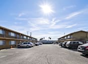 Thumbnail 7 of 9 - A sunny day at a parking lot with cars parked and buildings in the background.
