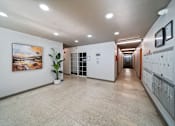 Thumbnail 7 of 9 - A long hallway with a plant and artwork on the wall.