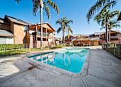Thumbnail 4 of 13 - A swimming pool surrounded by palm trees and apartment buildings.