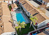 Thumbnail 5 of 12 - A swimming pool is surrounded by palm trees and a grassy area.