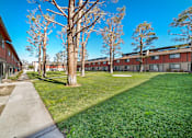 Thumbnail 1 of 17 - A sunny day at a grassy courtyard with trees and apartment buildings.