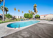 Thumbnail 4 of 6 - A swimming pool surrounded by palm trees and lounge chairs.