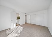 Thumbnail 12 of 16 - A room with a striped rug on the floor and a doorway leading to another room.