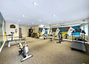 Thumbnail 11 of 15 - A gym with a variety of exercise equipment including treadmills, stationary bikes, and weight machines.
