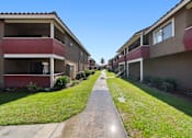 Thumbnail 6 of 8 - A long, narrow pathway separates two rows of apartment buildings.