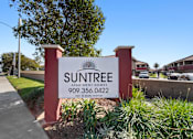 Thumbnail 3 of 8 - A sign for Suntree Apartment Homes stands in front of a building.