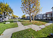 Thumbnail 2 of 14 - A tree with yellow leaves is in the middle of a grassy area.