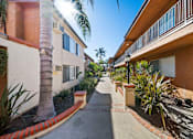 Thumbnail 19 of 70 - A sunny day in a quiet residential street with a palm tree on the left.