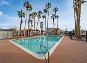 Thumbnail 12 of 21 - A pool surrounded by palm trees.