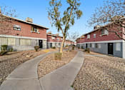 Thumbnail 1 of 9 - A tree in the middle of a gravel area with a concrete walkway and apartment buildings in the background.